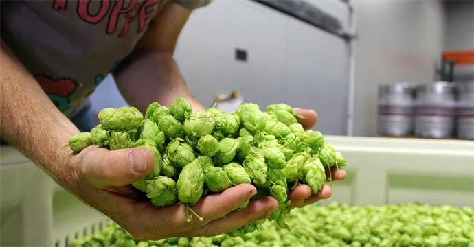 India Pale Ale: Η πιο cool μπύρα