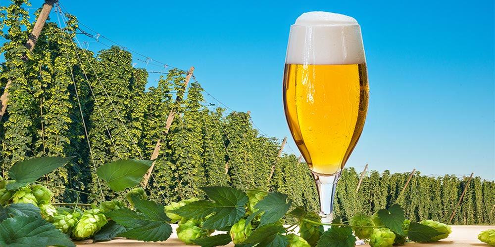 Belgian Blond Ale: The “Golden” Style of Belgium