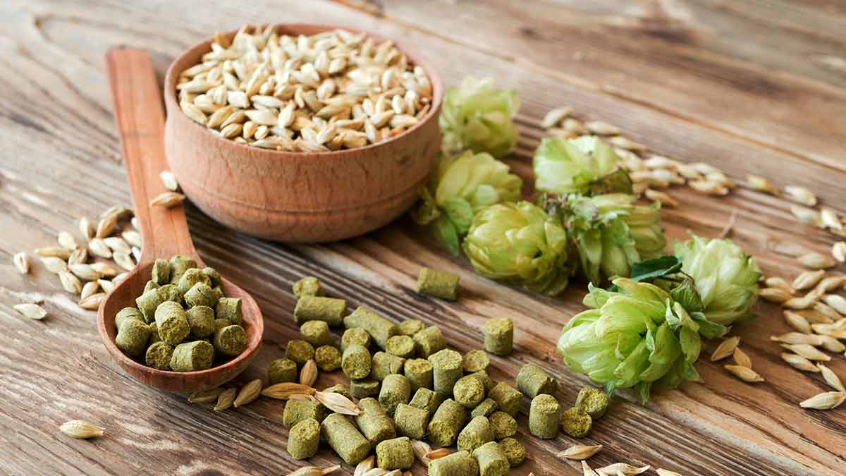The Most Common Hops in Hazy IPAs [Infographic]
