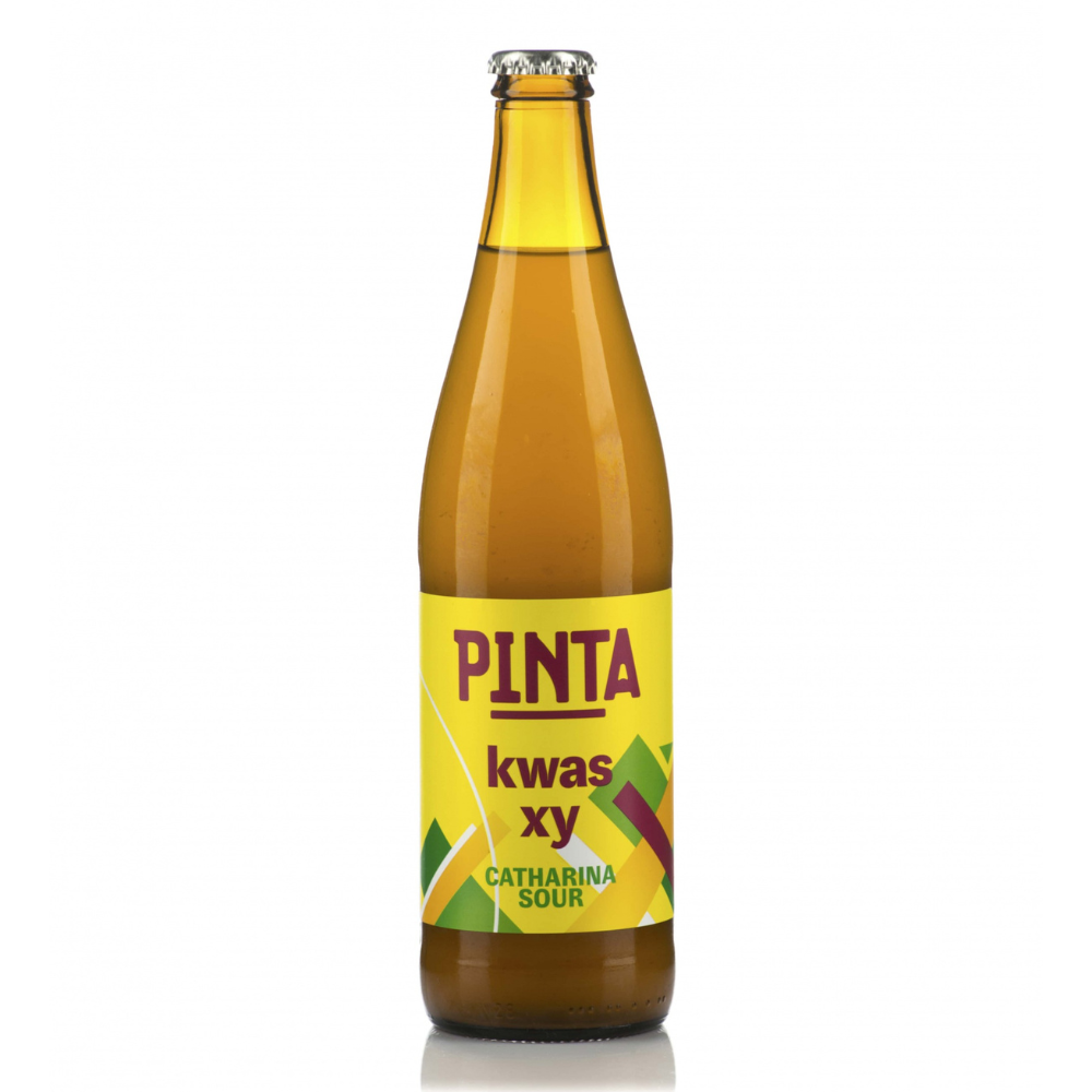 PINTA Kwas Xy 500ml