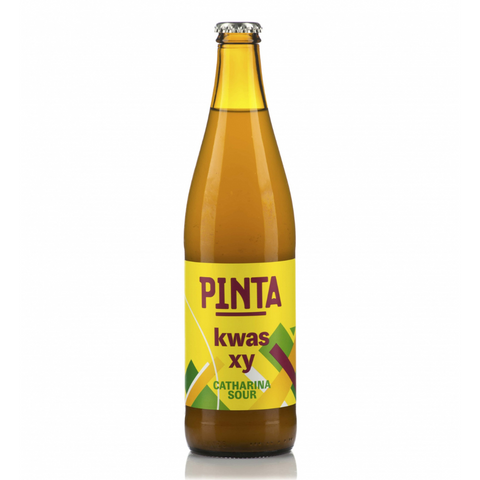PINTA Kwas Xy 500ml